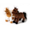Chevaux Penny et Molly