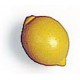 Citrons